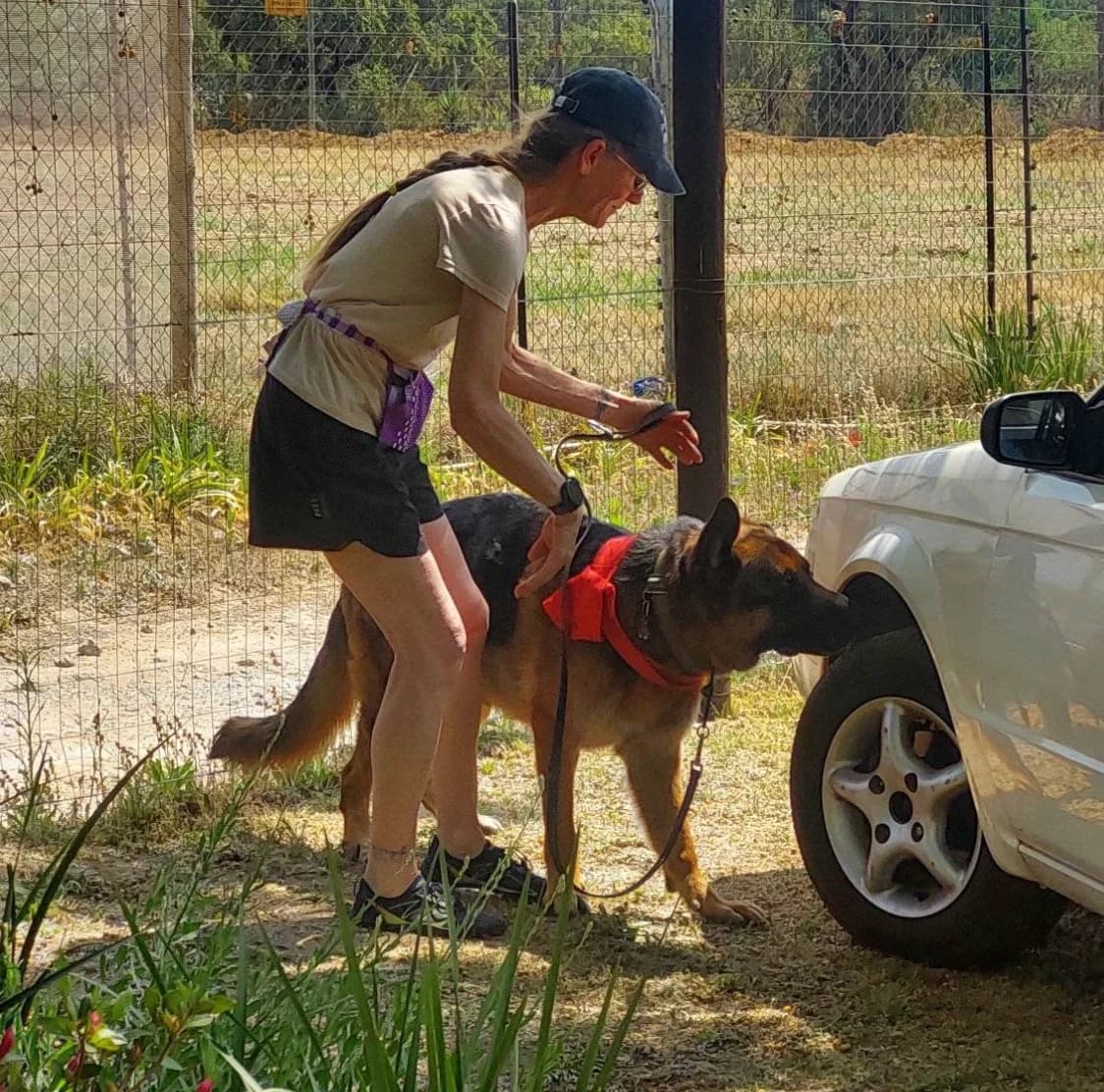A dog works through a container search inside a home