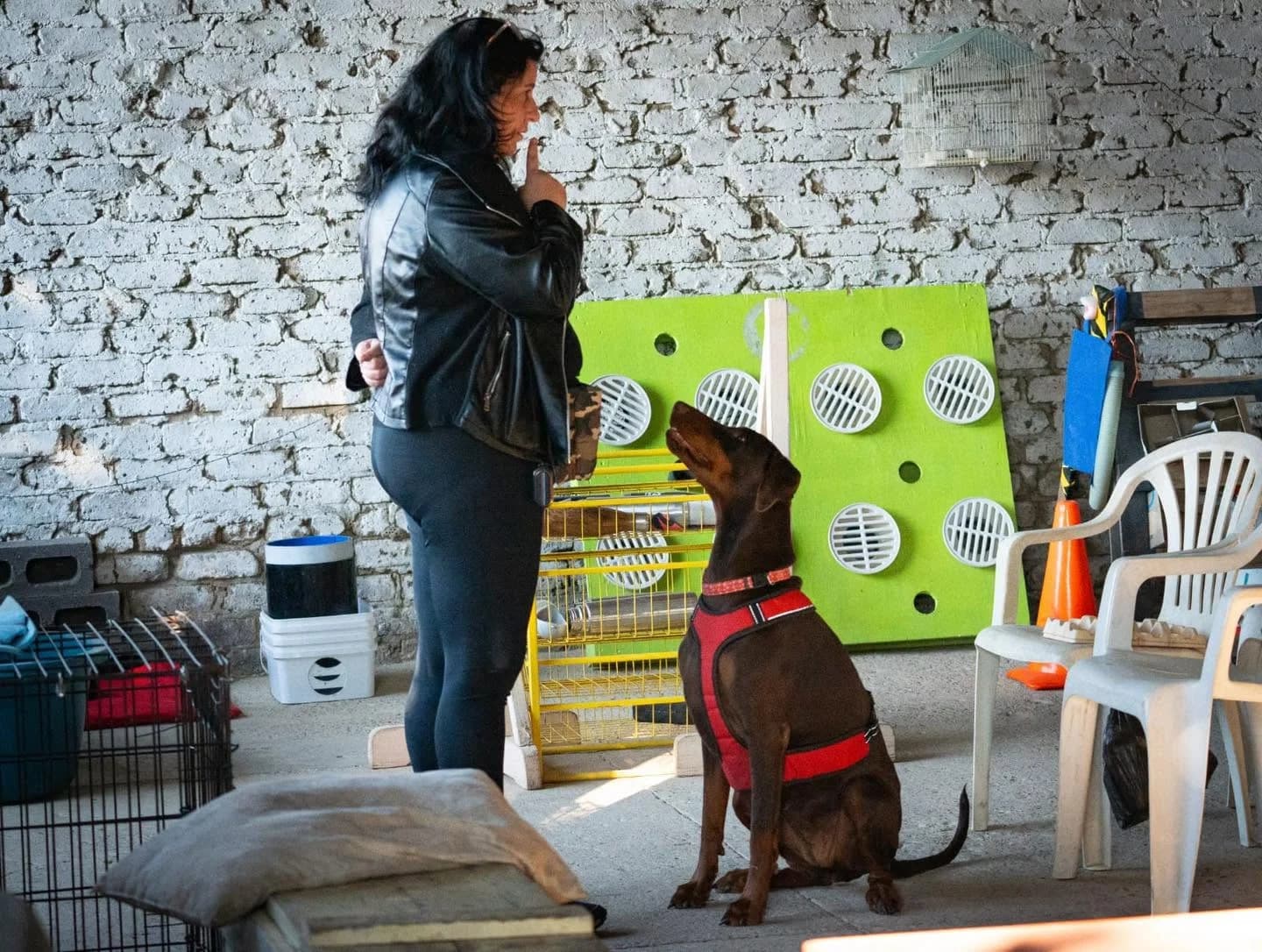 A handler and dog pause together in a garden search area