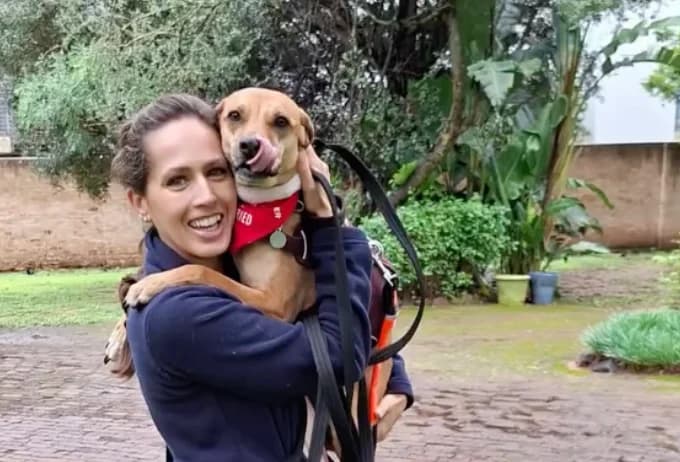 A handler rewards a dog after an indoor arena search