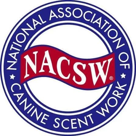 Q&A - Webinar with Jill Marie, NACSW USA Founder poster