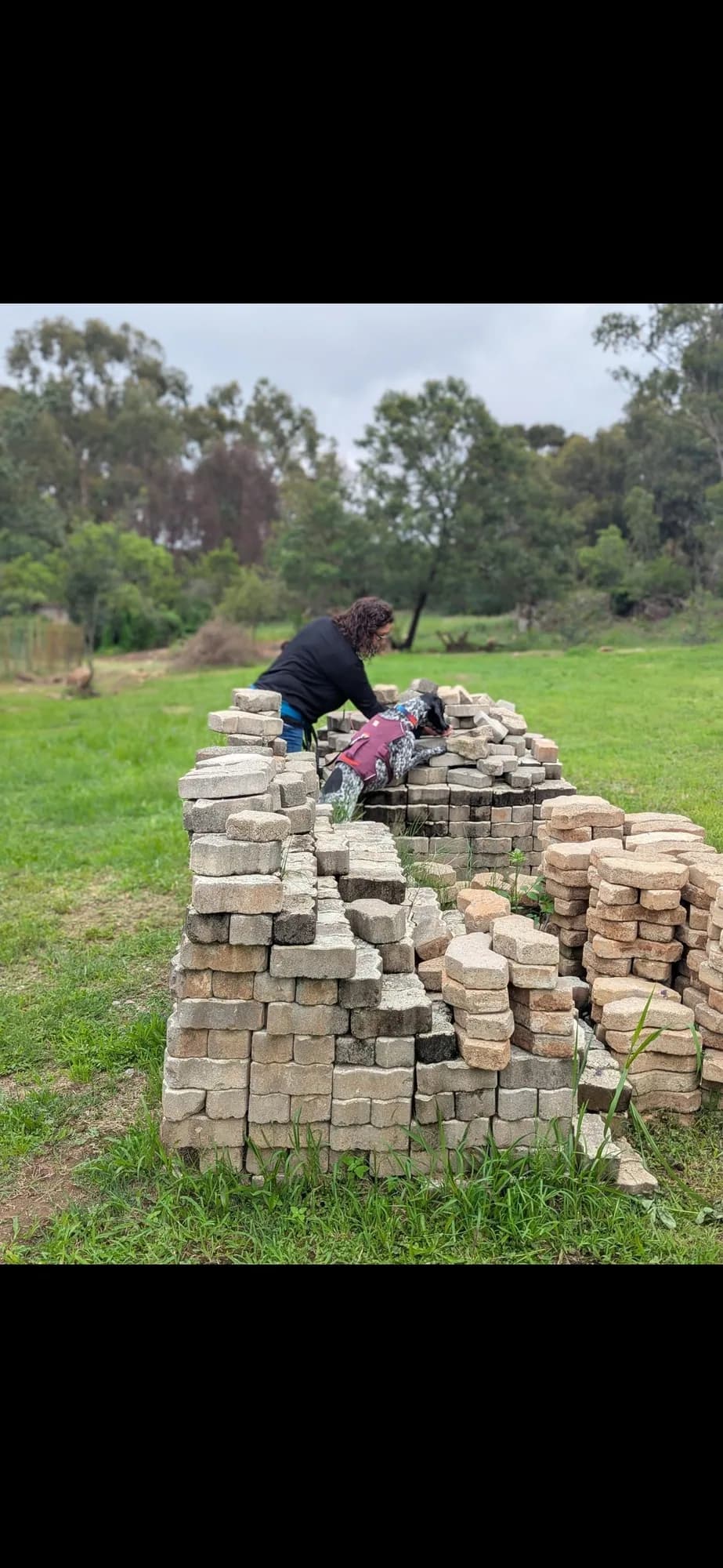 A dog searches a stacked stone feature with their handler close behind