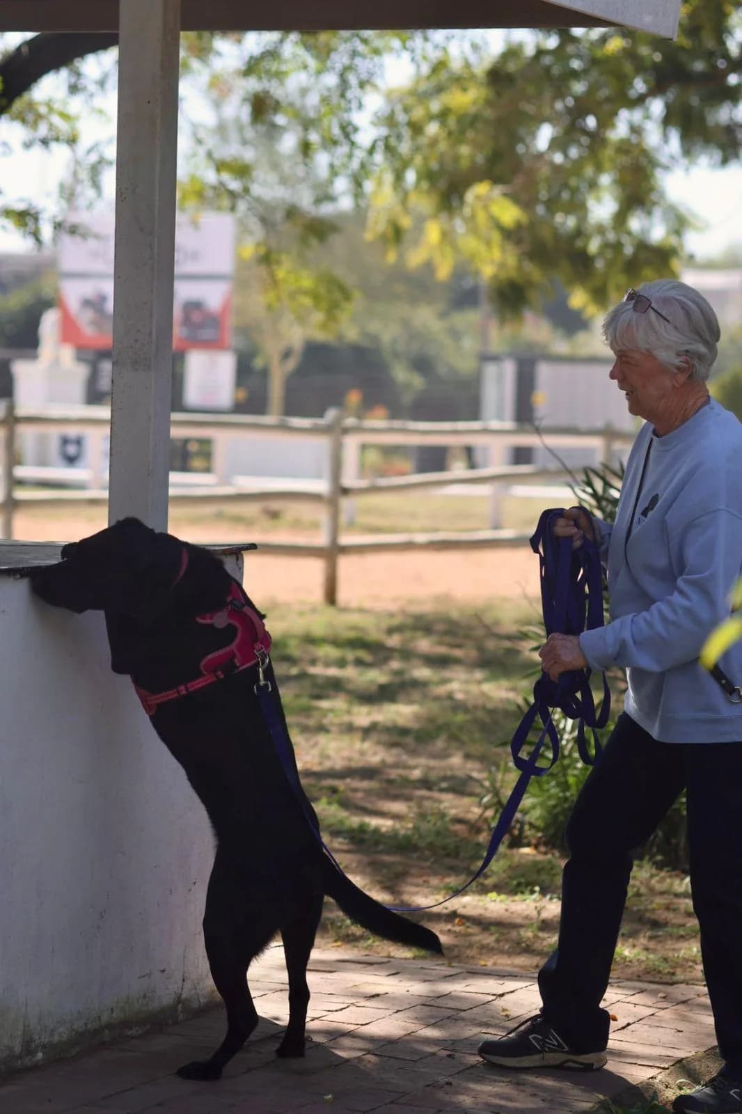 A handler rewards her dog beside a vehicle search area