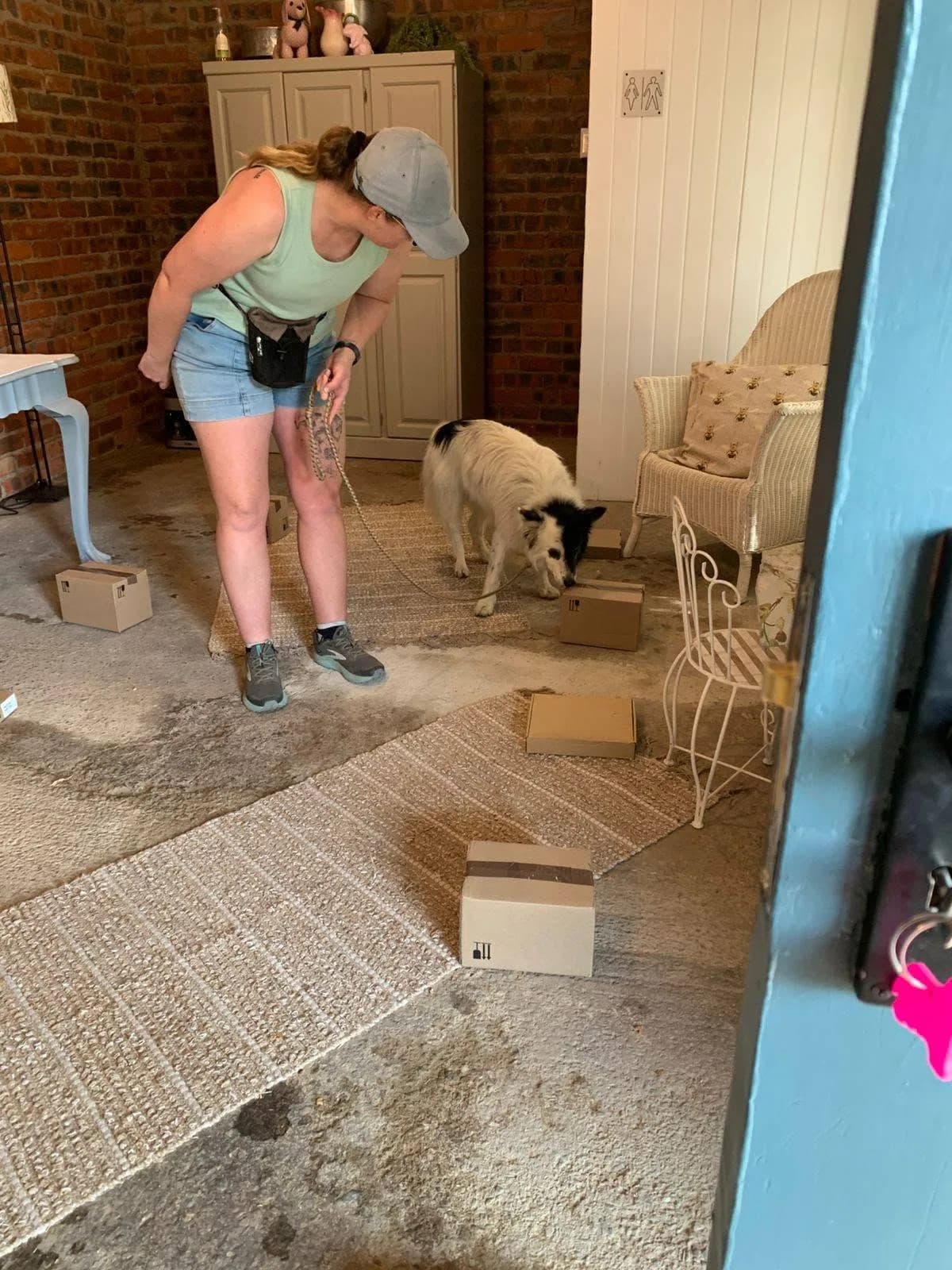 A dog works through a container search inside a home