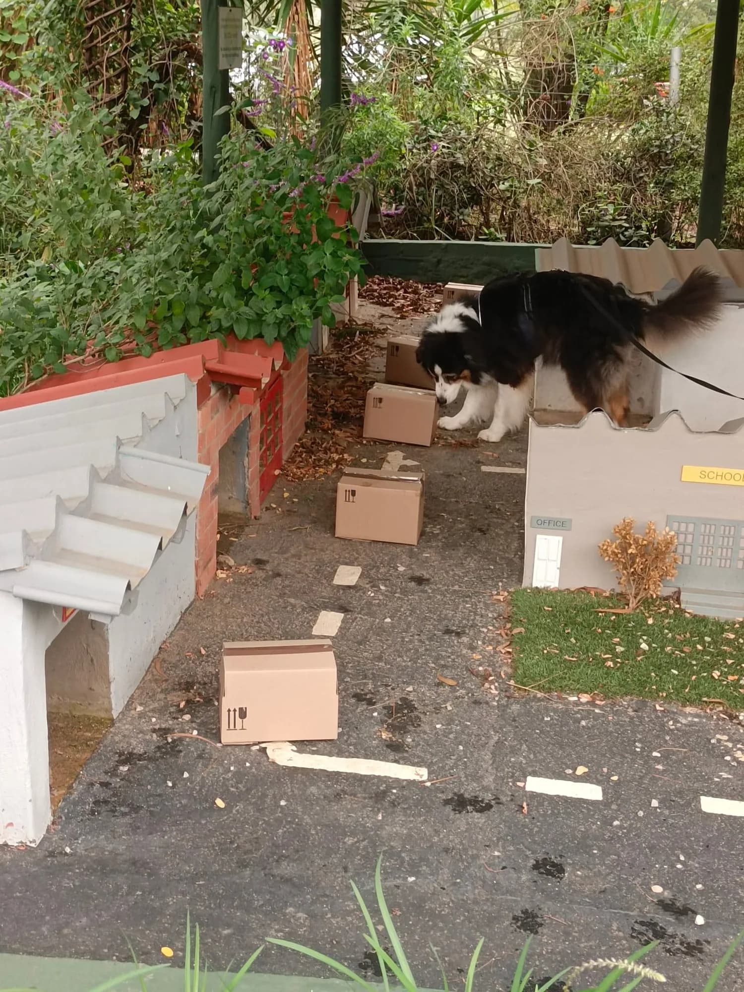 A dog searches boxes in a miniature streetscape