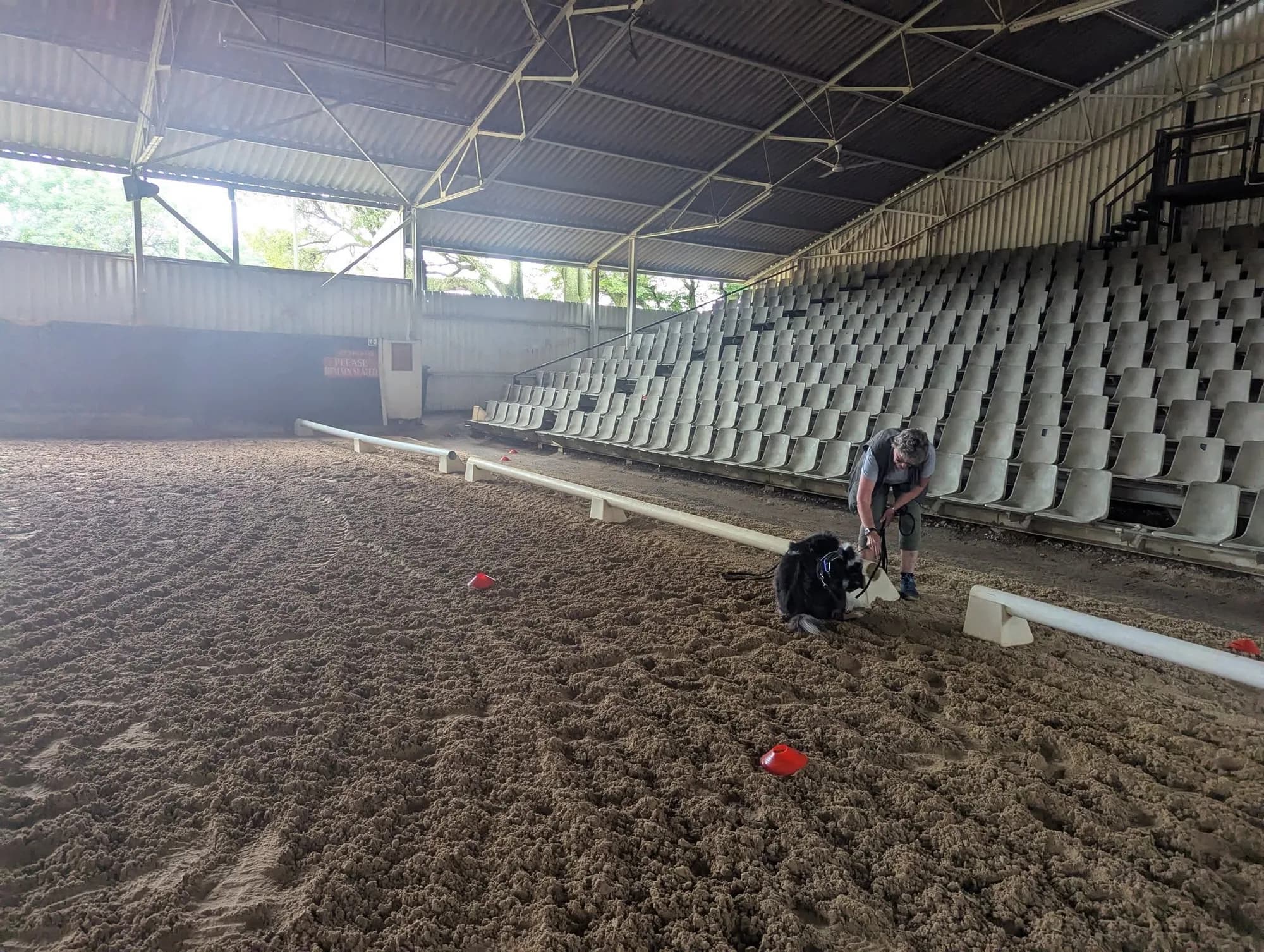 A nosework team completes a search in an indoor arena